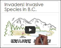 Invaders - Invasive Species in B.C.